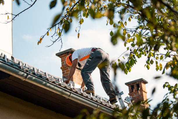 Best Commercial Roofing Services  in Harvey, IL